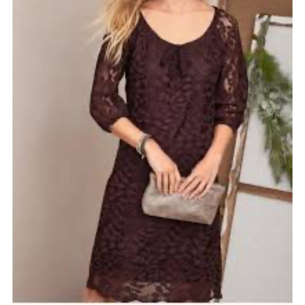 Garnet‎ Hill sz 16 Brown Boheme Lace Dress Sheer Holiday Party Whimsy Fairy Midi